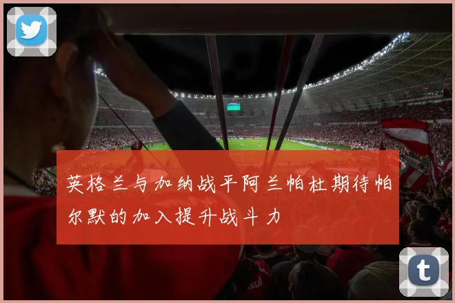 英格兰与加纳战平阿兰帕杜期待帕尔默的加入提升战斗力
